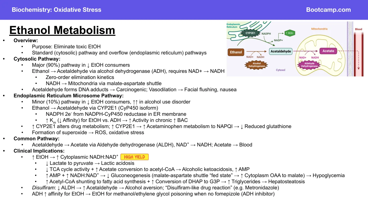 Bootcamp: alcohol dehydrogenase uses NAD⁺; fomepizole and ethanol for poisoning