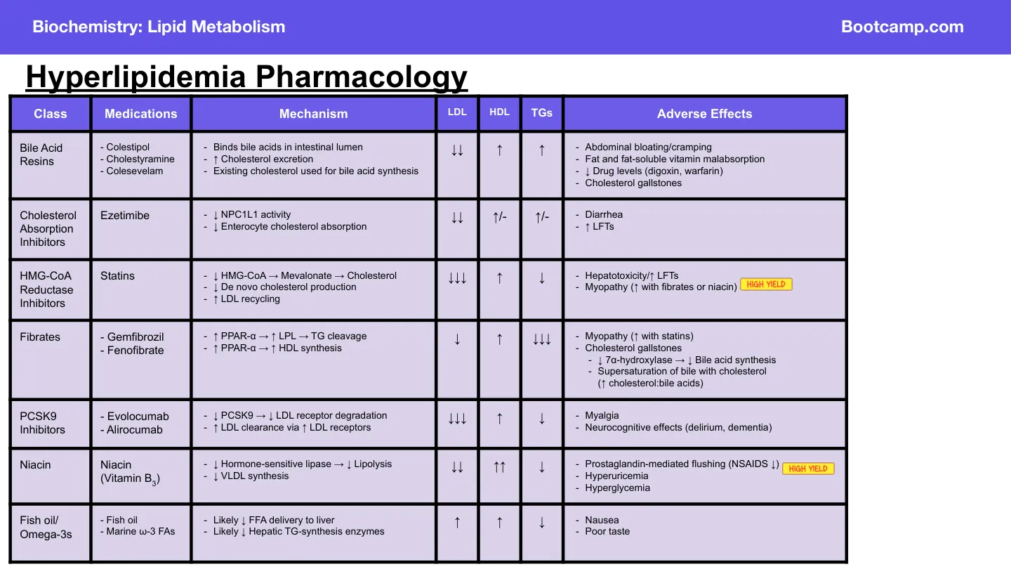 Bootcamp: use the bile acid resin row (fibrates → gallstones shown too)