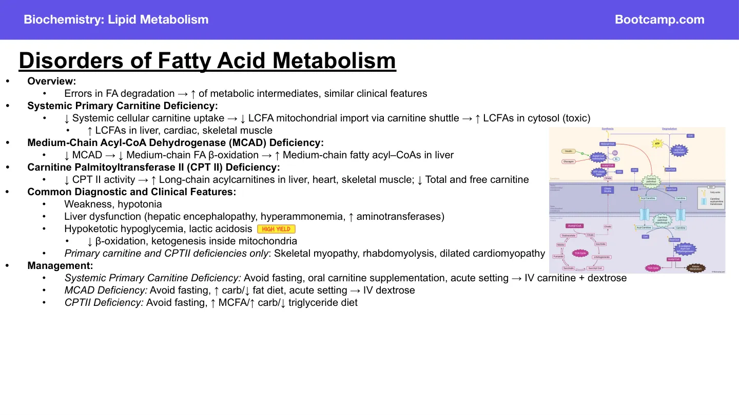 Bootcamp: carnitine deficiency, MCAD, CPT II, shared features and management