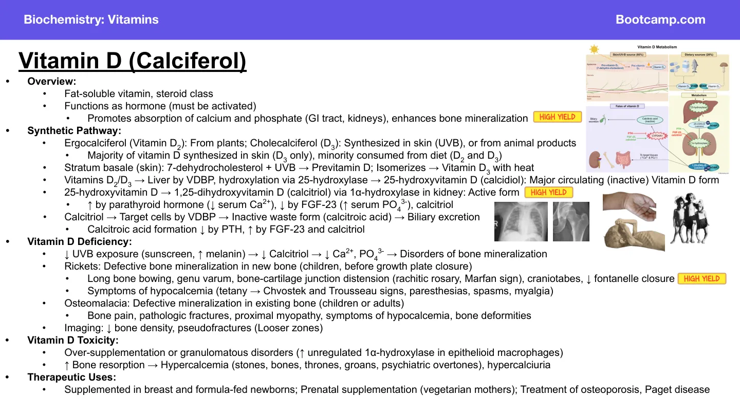Bootcamp vitamin D: deficiency lowers calcium, causes osteomalacia and bone pain