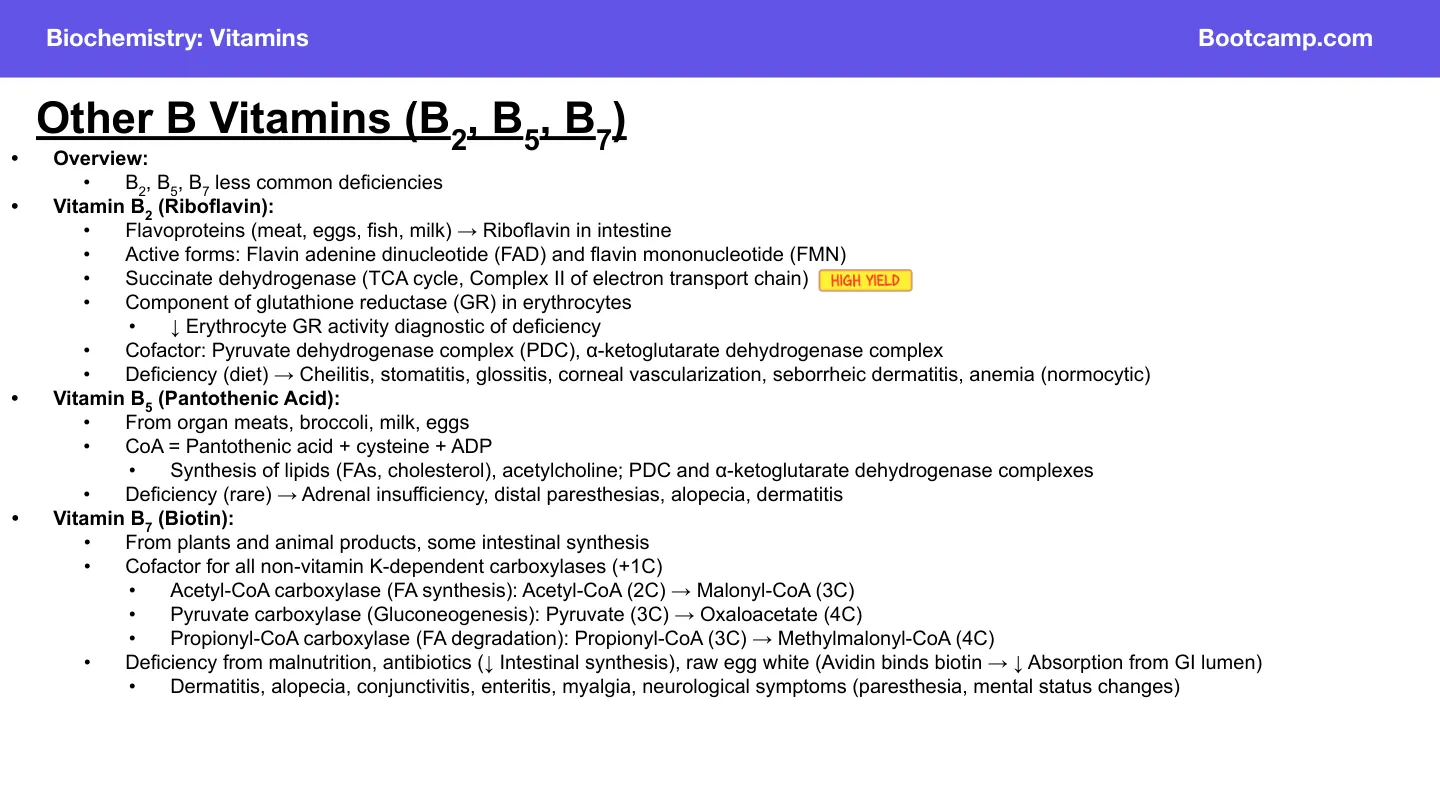 Bootcamp B7: the three biotin carboxylases; raw egg white avidin blocks absorption.