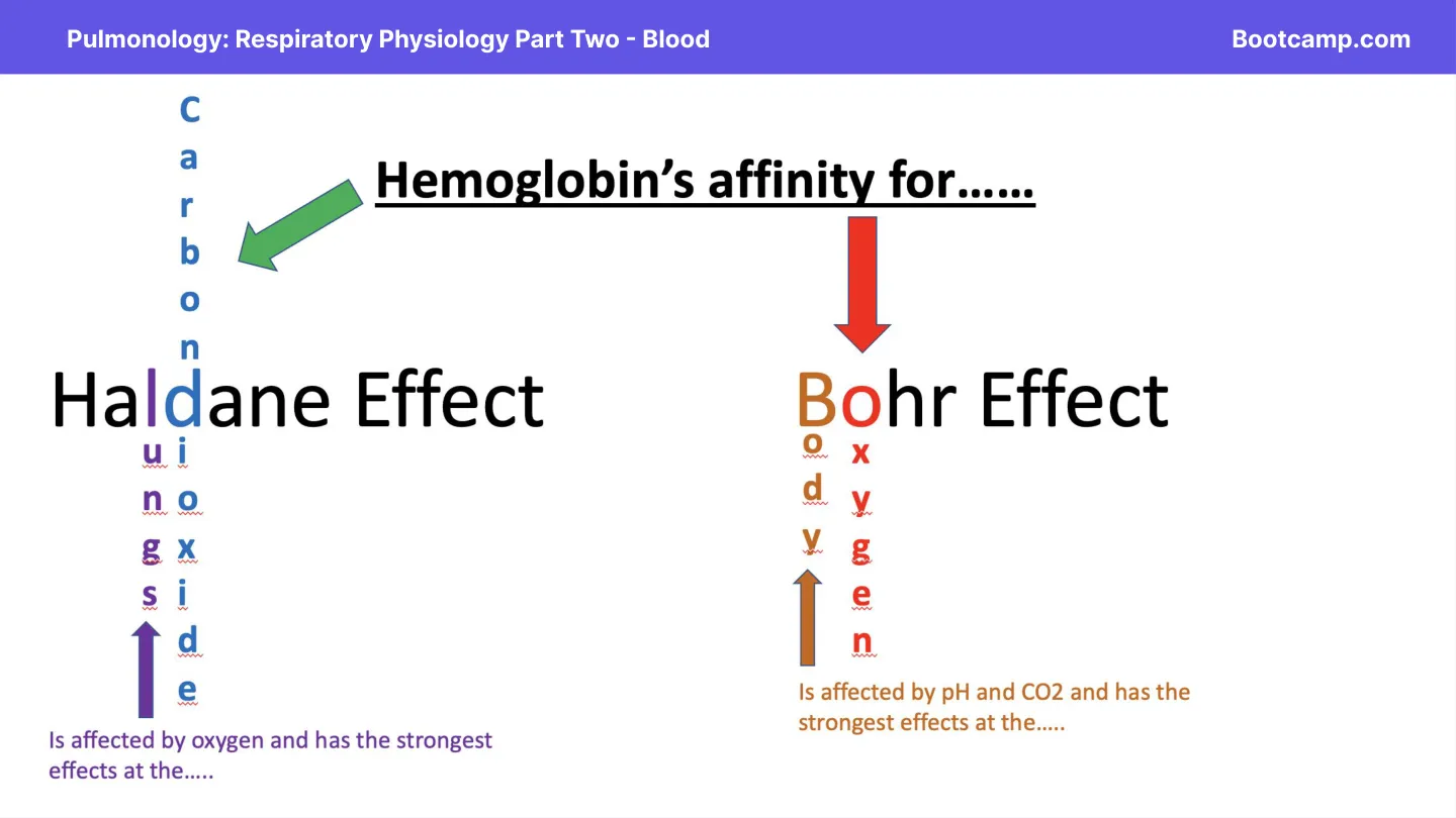Bootcamp mnemonic: Bohr = body, Hb affinity for O2; Haldane = lungs, affinity for CO2.