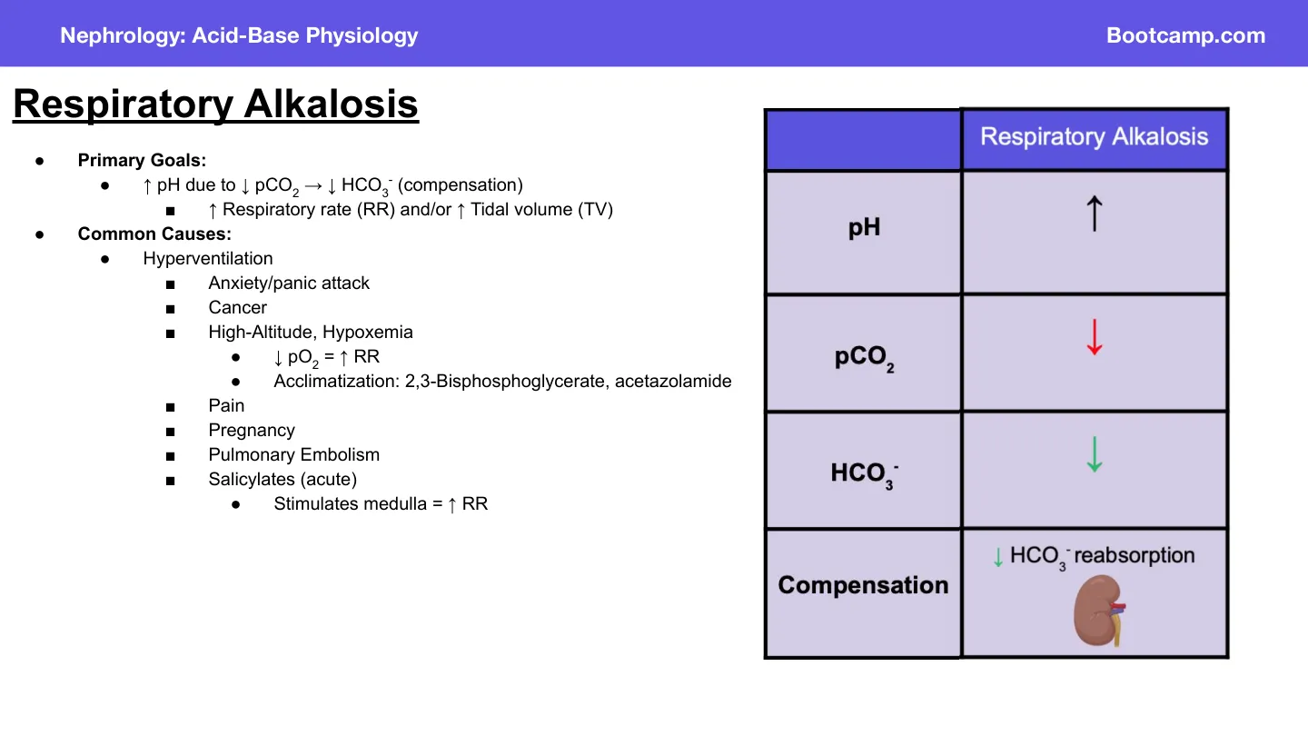 Bootcamp: hyperventilation causes: anxiety, altitude/hypoxaemia, pulmonary embolism, salicylates.