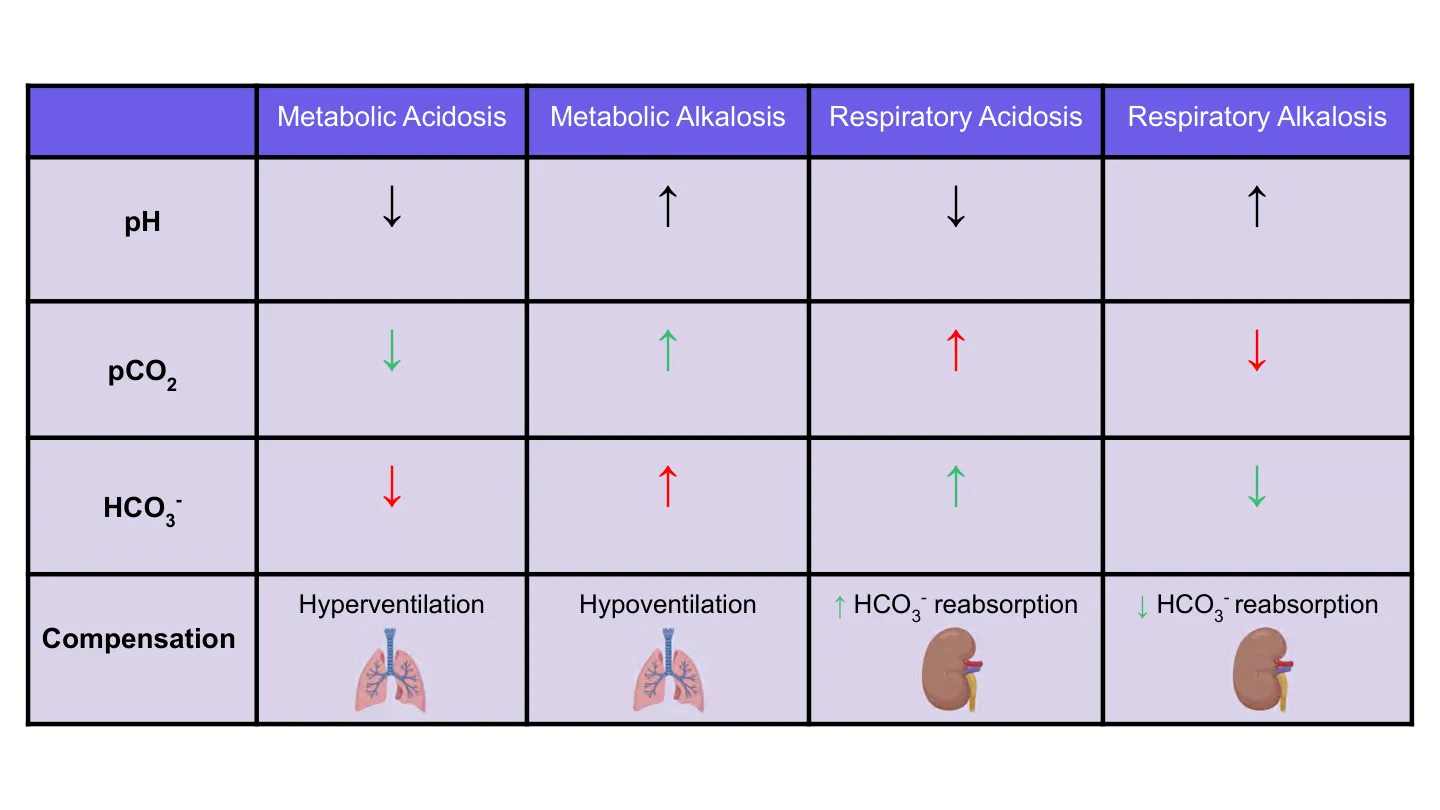 Bootcamp table: pH, PCO2, HCO3⁻ arrows and compensation for each disorder