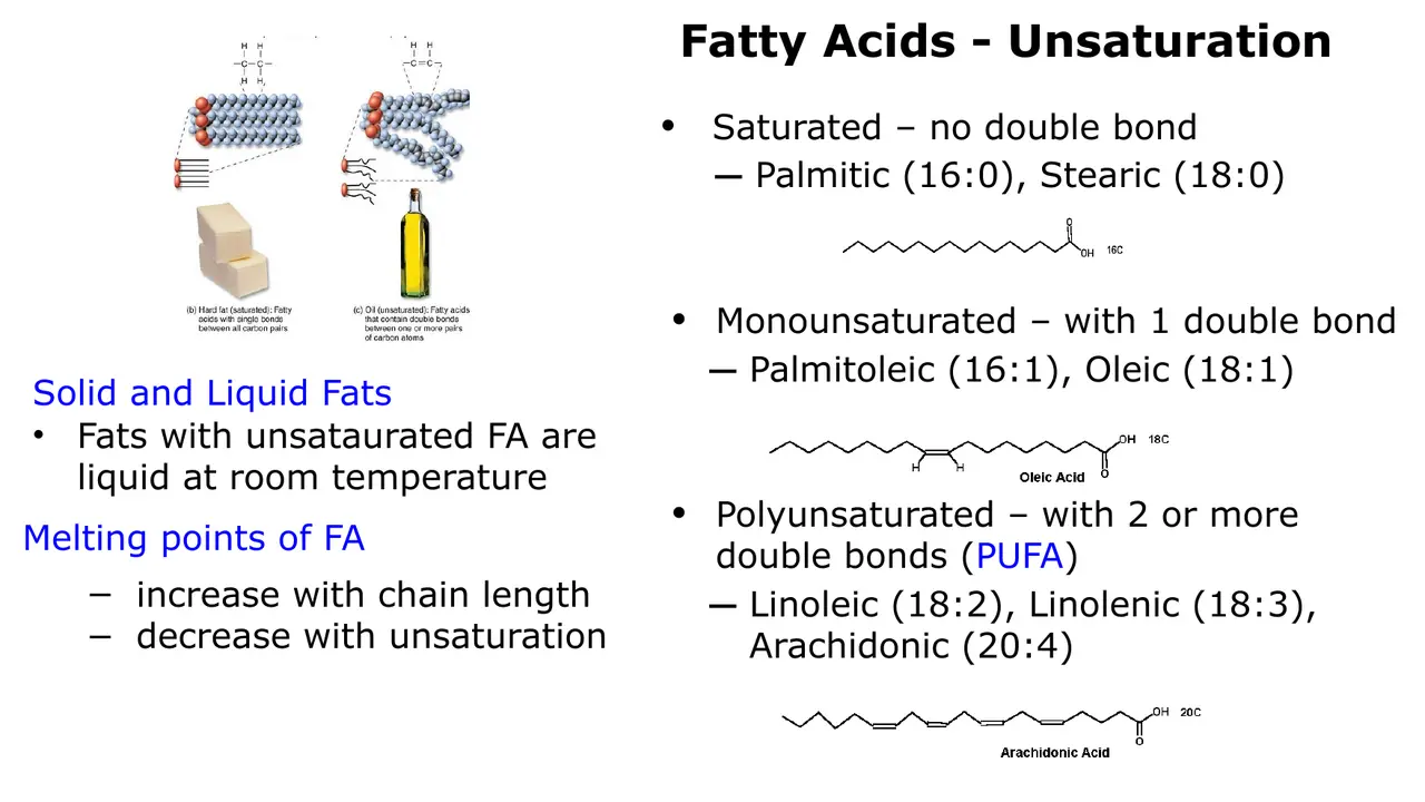 Saturated, mono- and polyunsaturated examples; melting-point rules; unsaturated fats are liquid.