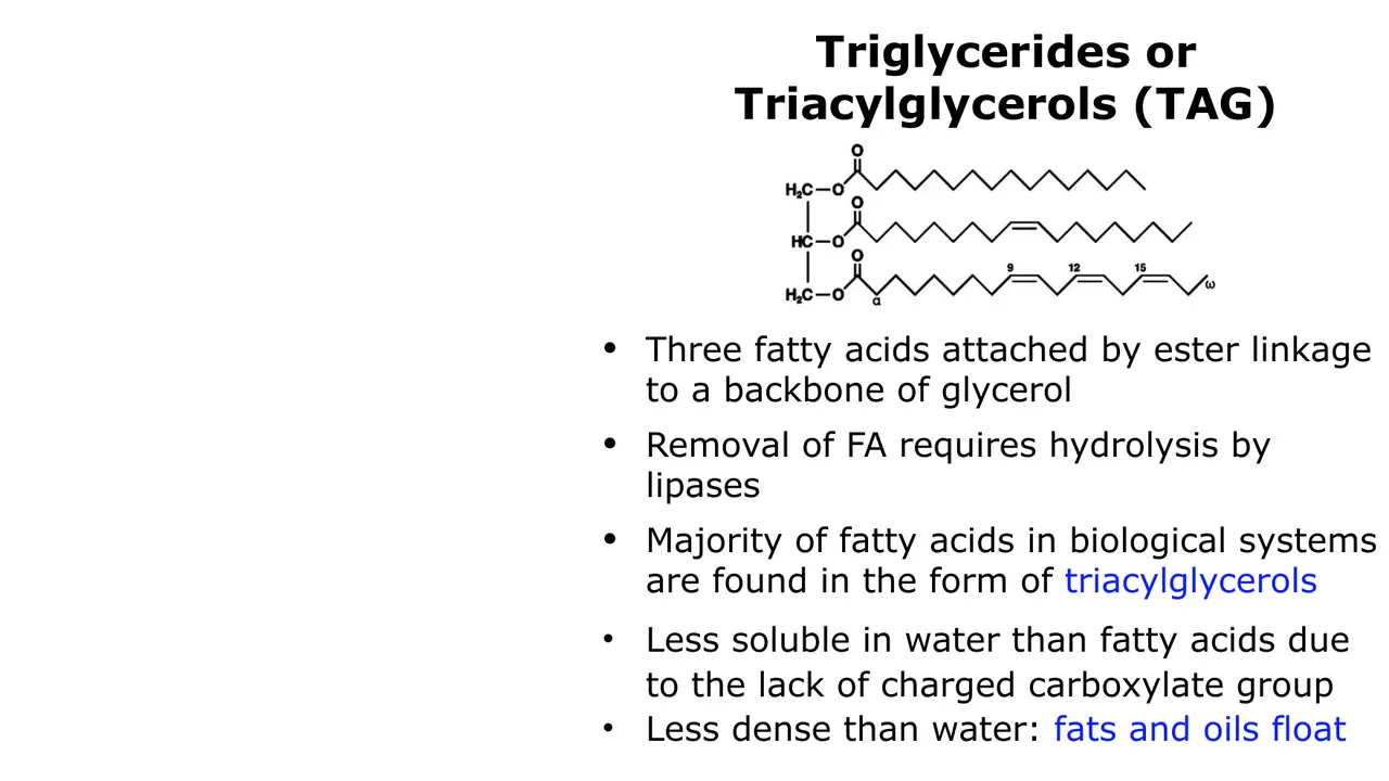 TAG: three fatty acids ester-linked to glycerol; lipases; neutral; less dense than water.