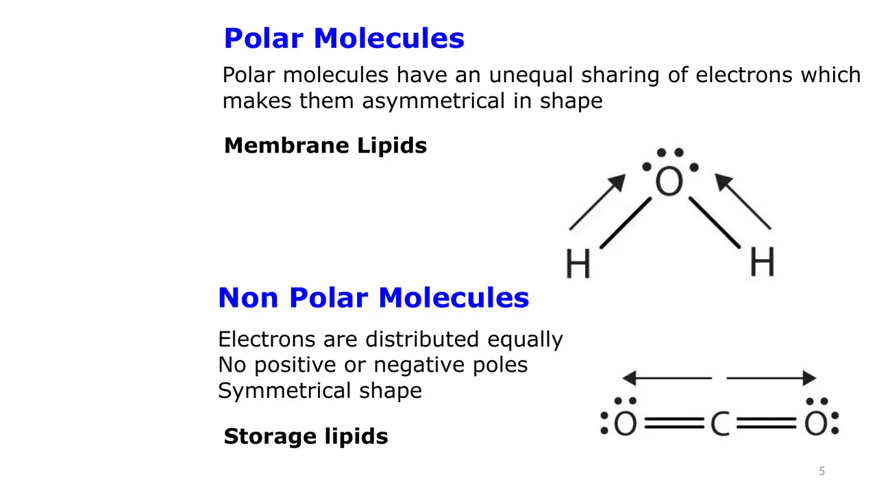 Polar versus nonpolar molecules: bent water is polar, symmetrical CO2 is nonpolar.