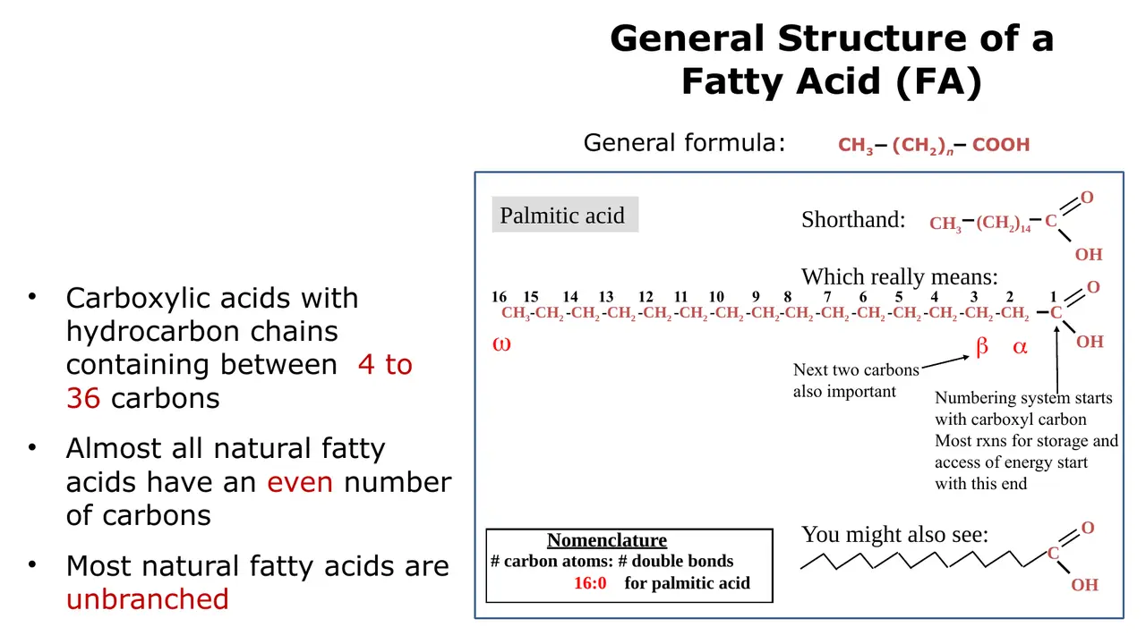 Fatty acid structure: palmitate numbered from carboxyl C1; α, β, ω; 16:0 shorthand.