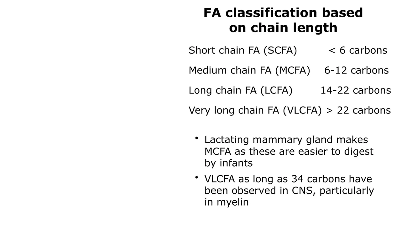 Chain-length classes; medium chains made for infants; very long chains in myelin.
