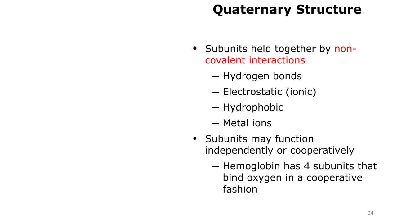 Lecture: subunits held non-covalently; act independently or cooperatively
