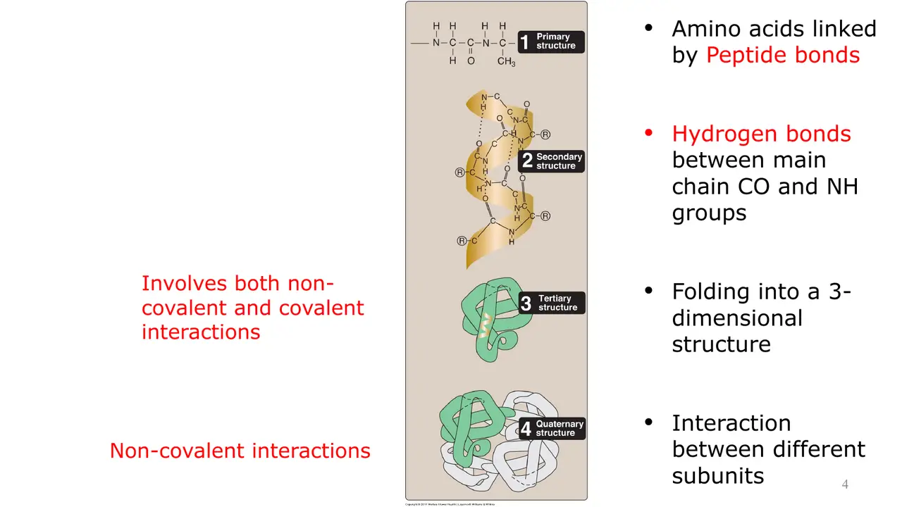 Lecture: four levels and the bonds holding each