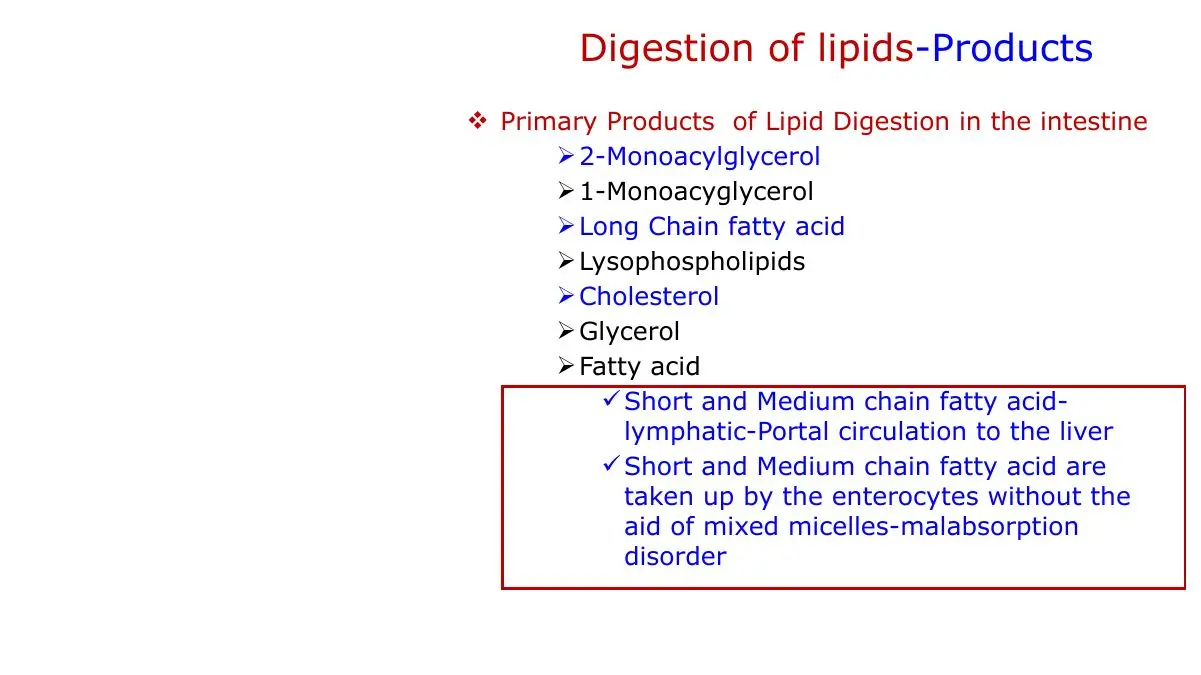 Products of digestion; short/medium chains go directly to portal blood, not lymph