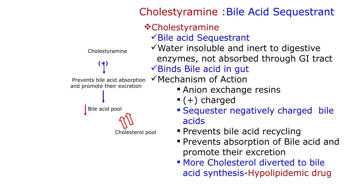 Cholestyramine: positively charged resin binds bile acids, lowers LDL