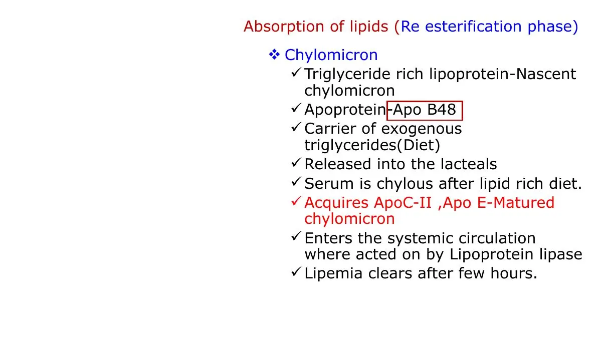 Chylomicron: apo B-48, lacteals, apo C-II/E, lipoprotein lipase, lipaemia