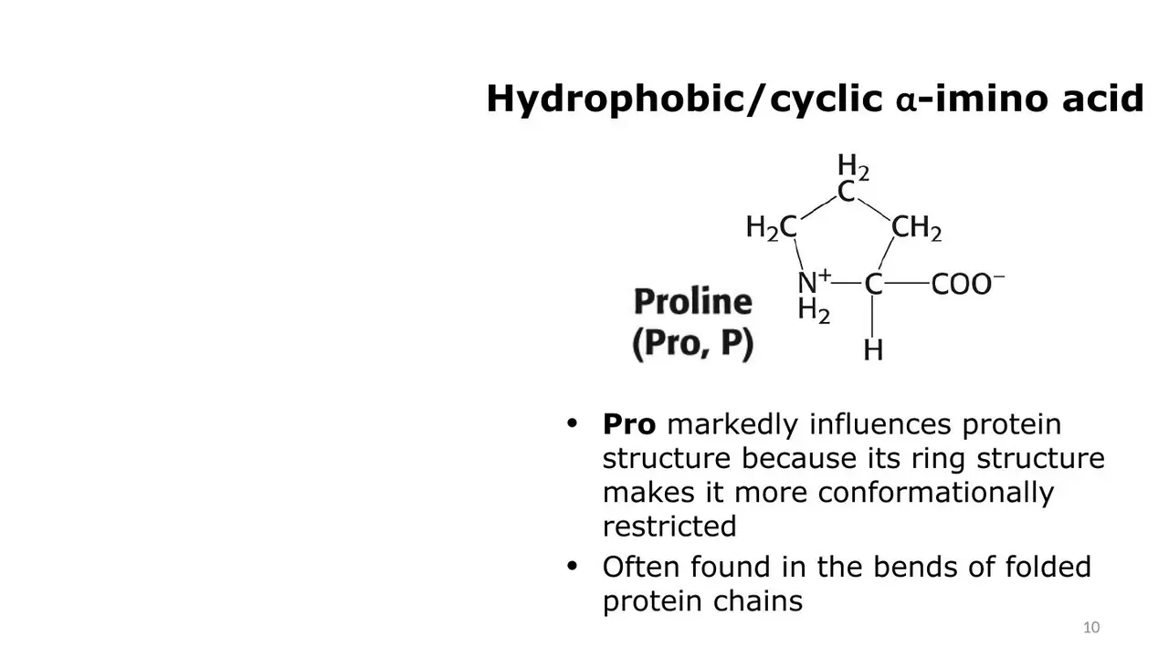 Lecture: proline, the rigid cyclic α-imino acid found in bends