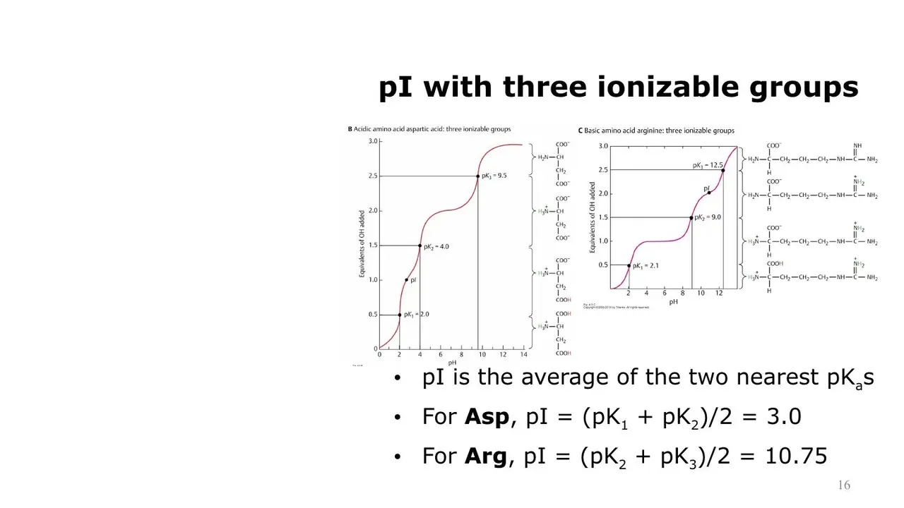 Lecture: three ionisable groups: pI of Asp 3.0, Arg 10.75