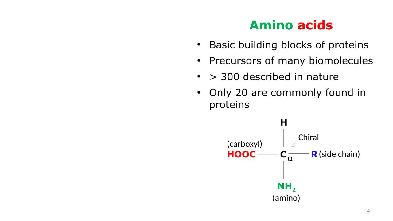 Lecture: α-carbon with carboxyl, amino, H and R; >300 in nature, 20 in proteins