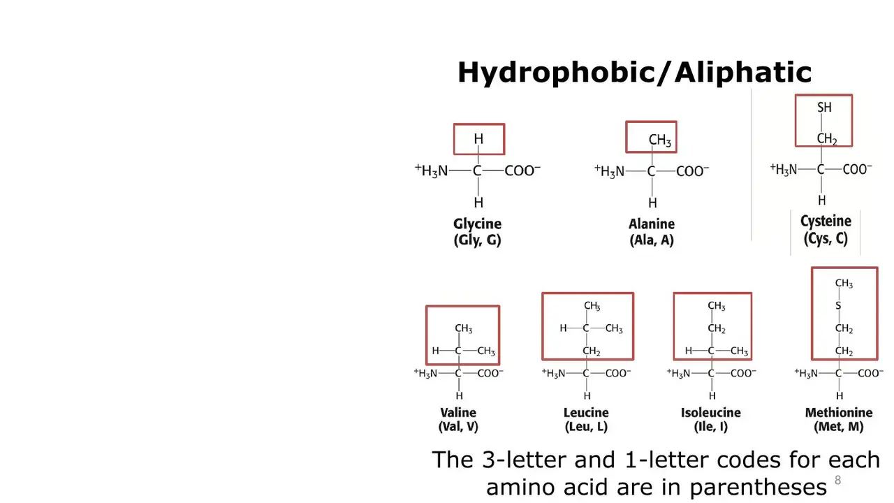 Lecture: hydrophobic aliphatic G, A, C, V, L, I, M