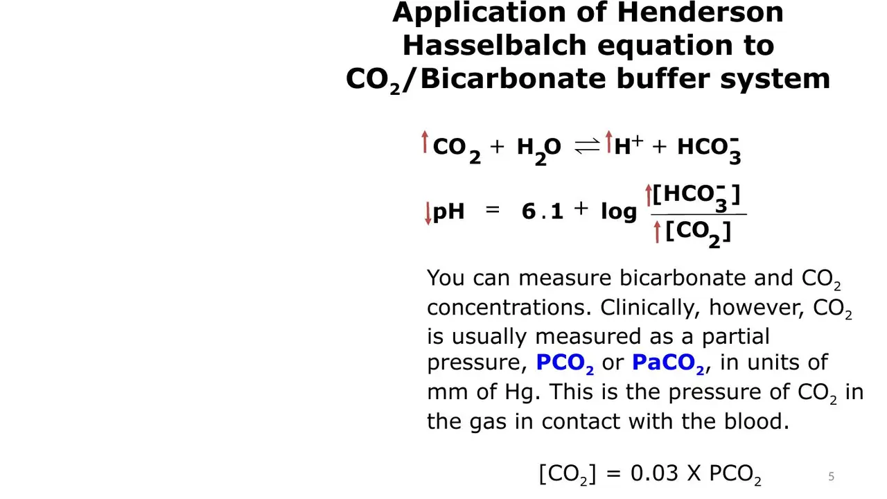 Same equation with arrows: more CO2 → more H+ → lower pH.