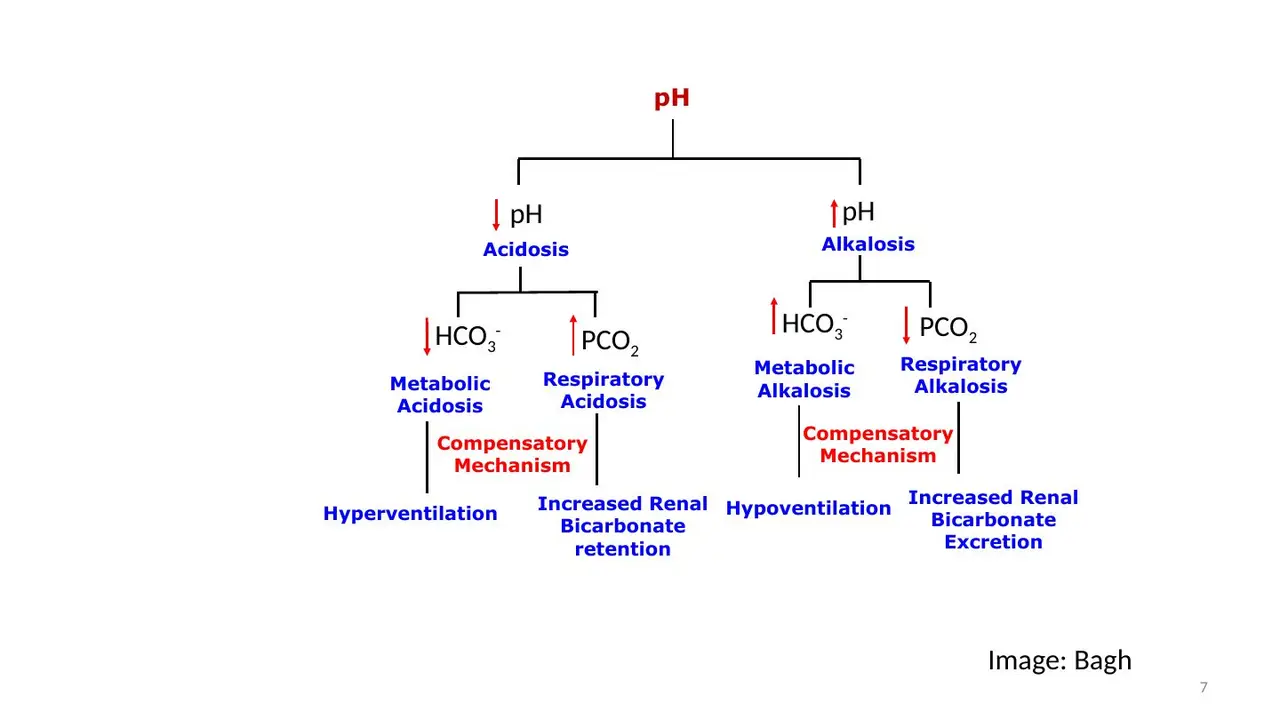 Tree: pH direction, then HCO3− or PCO2, then the compensating response.