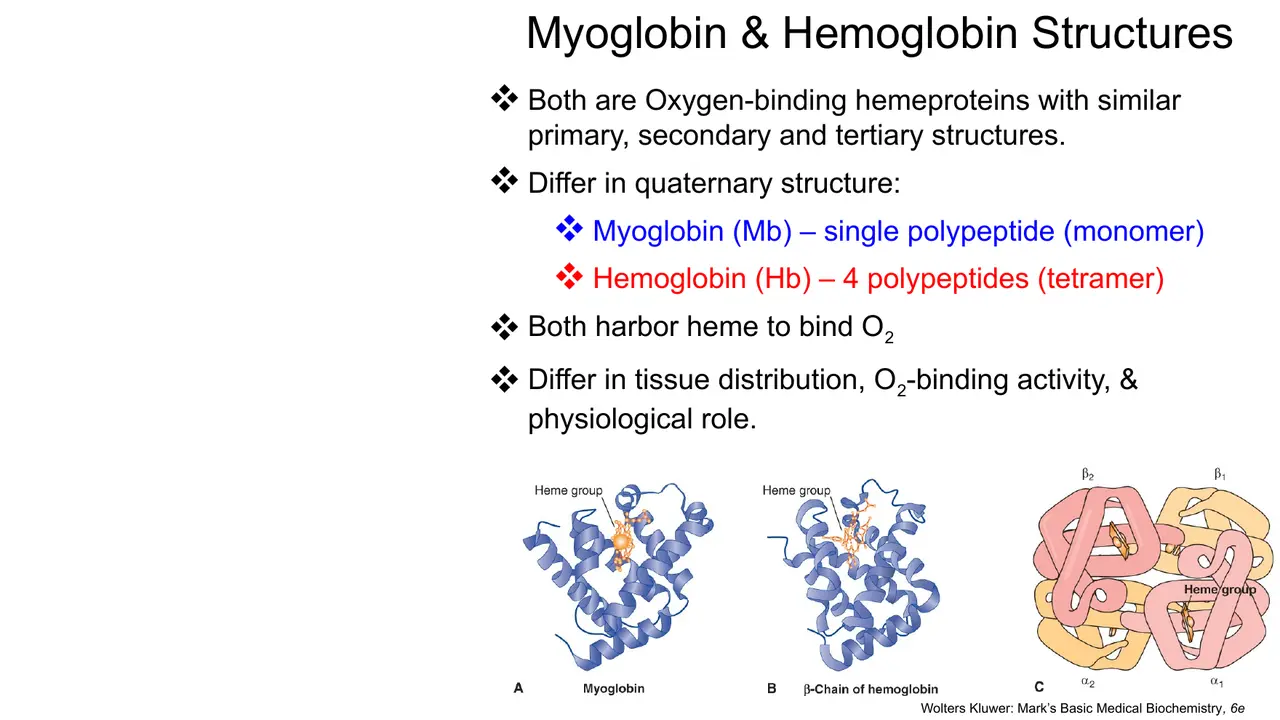 Mb and Hb share primary to tertiary structure; differ in quaternary: monomer vs tetramer.