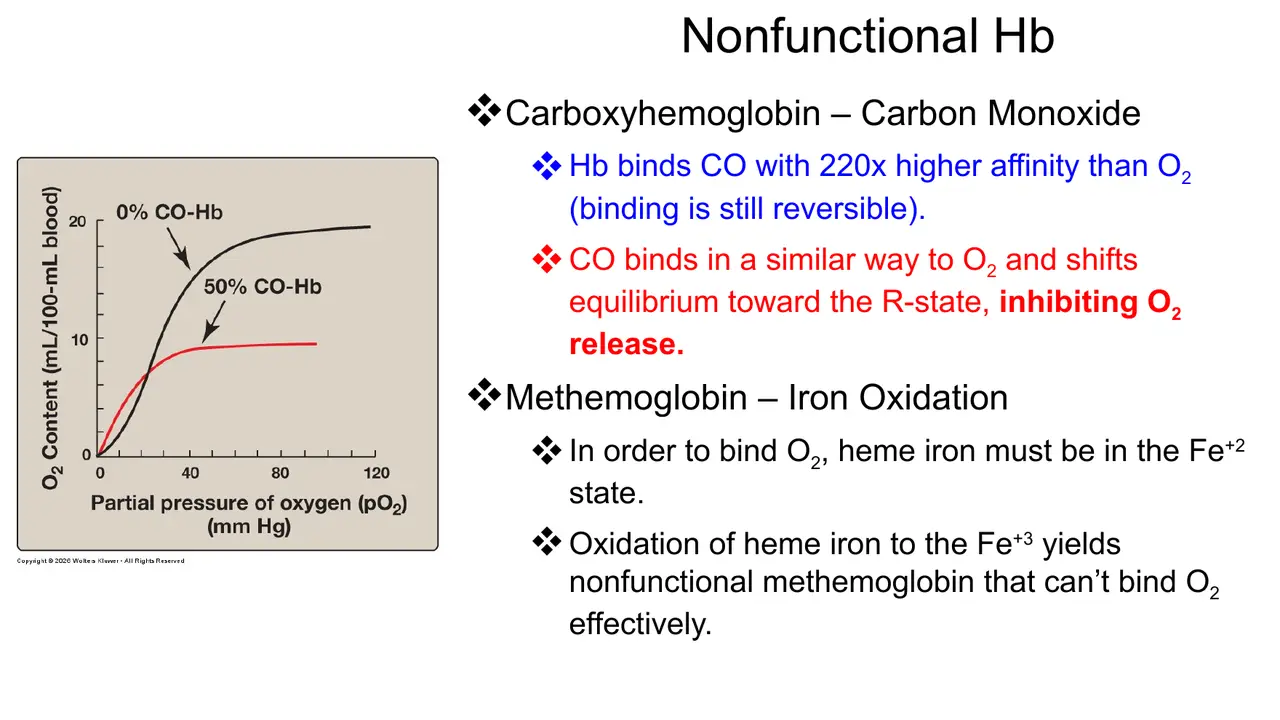 CO binds Hb 220× tighter (reversible), pushes R, inhibits release; 50% CO-Hb halves content.