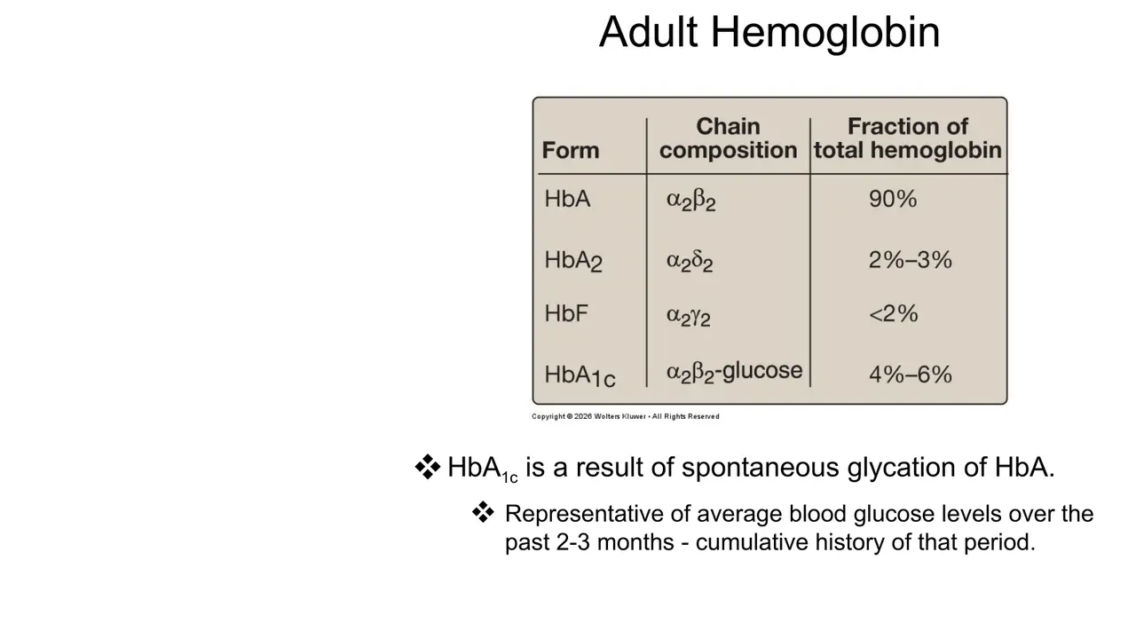Lecture: HbA 90%, HbA2 2–3%, HbF <2%, HbA1c 4–6%; glycation reflects 2–3 months