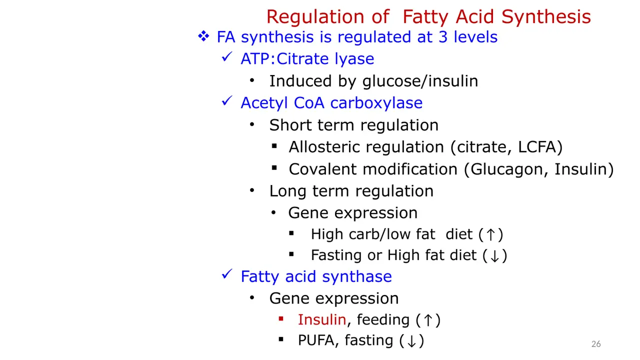 Three control points: ATP-citrate lyase, ACC (short and long term), FAS (gene expression).