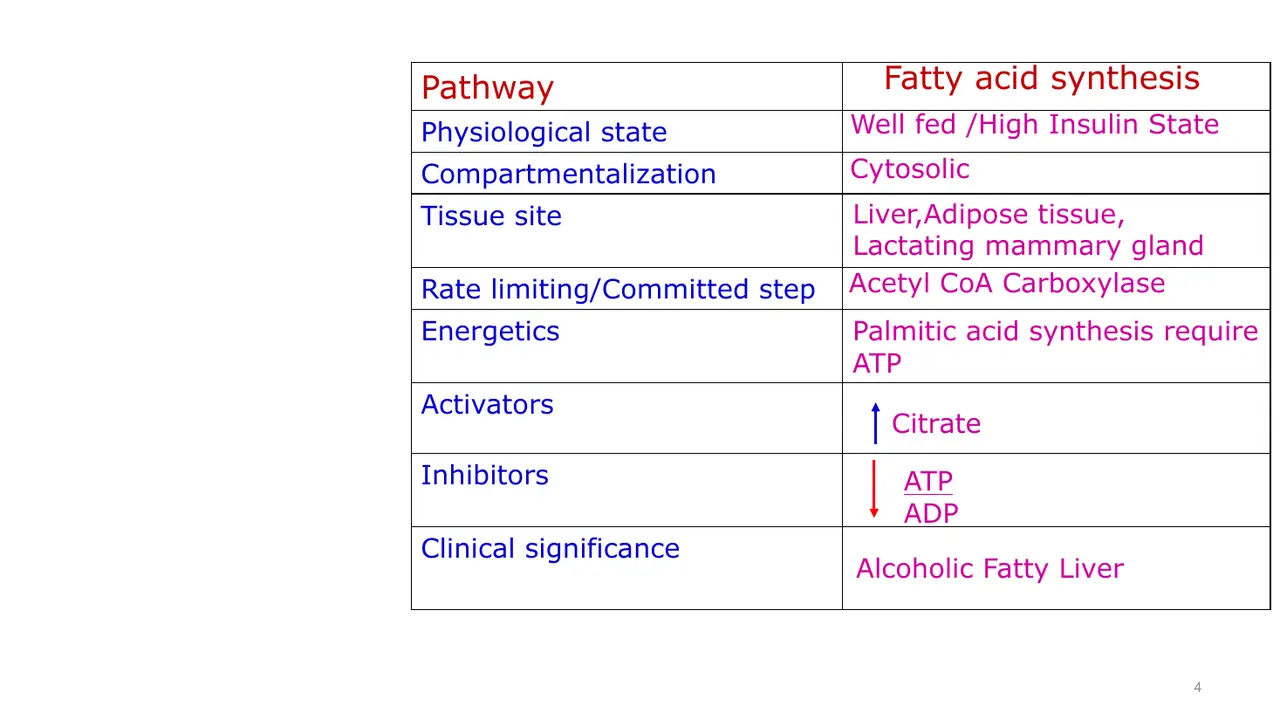 Summary table: fed/high insulin, cytosol, ACC rate-limiting, citrate activates (adipose is a lesser site).