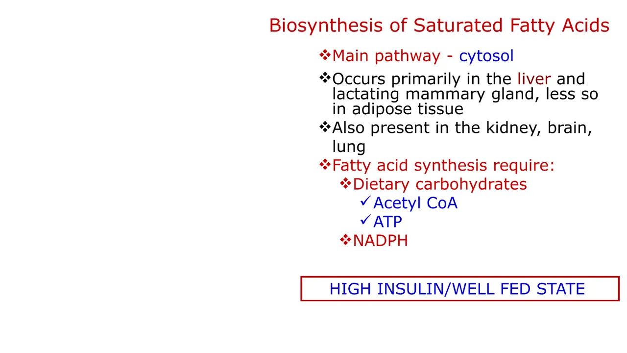 Cytosol; mainly liver and lactating breast, less adipose; needs carbohydrate, acetyl-CoA, ATP, NADPH, insulin.