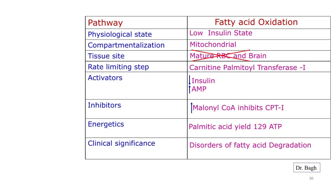 Fatty acid oxidation at a glance: mitochondrial, low insulin, CPT-I rate-limiting, not RBC or brain
