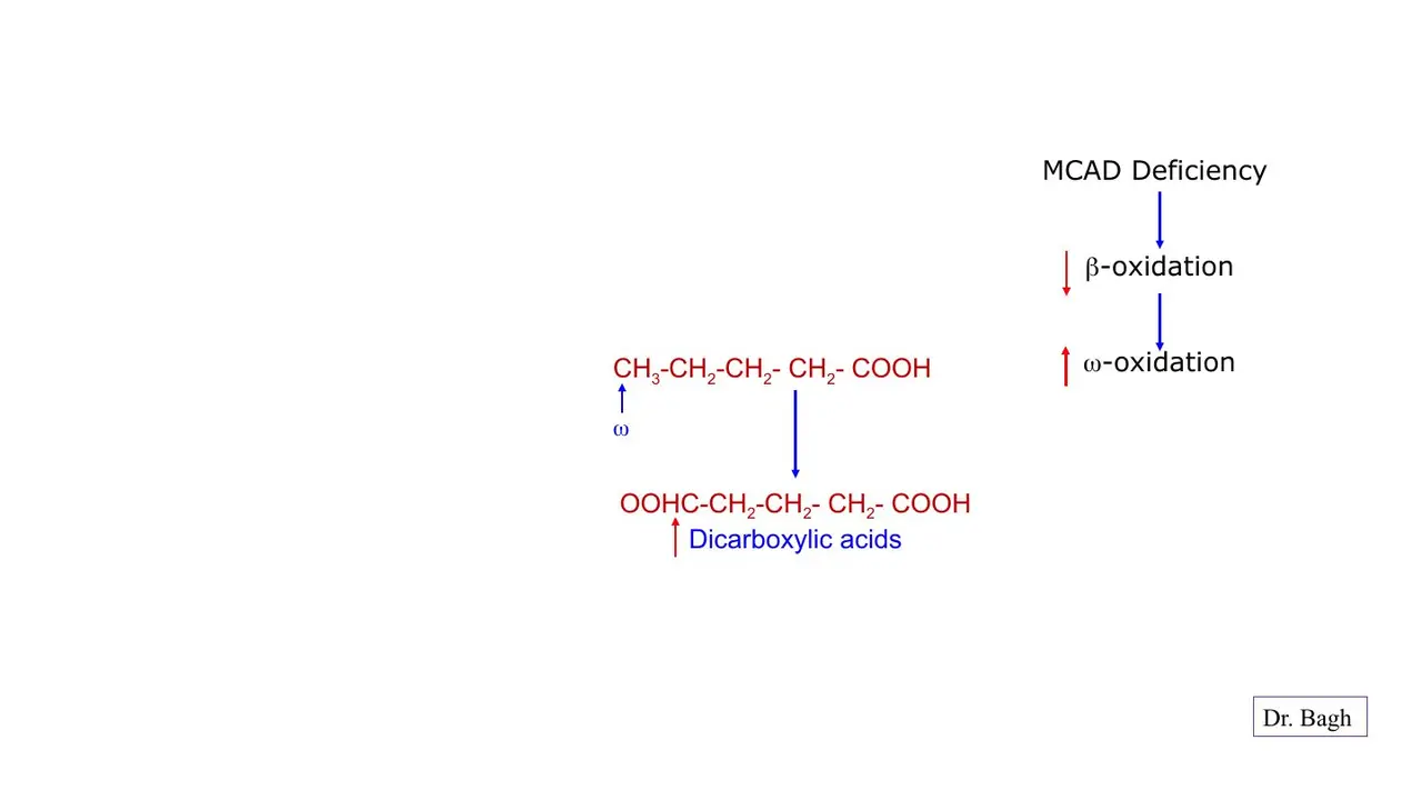 MCAD deficiency: β-oxidation down, ω-oxidation up → dicarboxylic acids