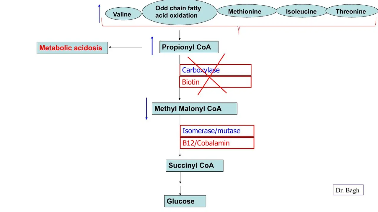 Carboxylase or biotin block: propionyl-CoA accumulates → metabolic acidosis