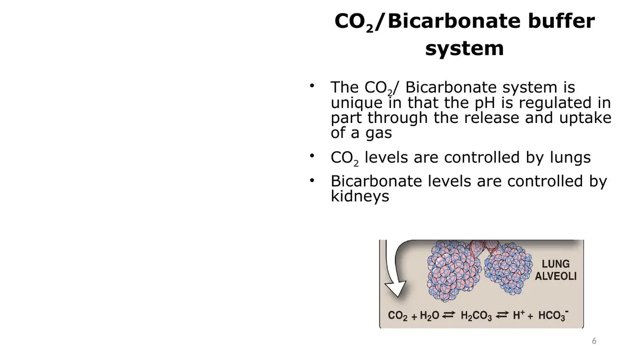 Unique: pH regulated partly through a gas; lungs control CO2, kidneys bicarbonate.