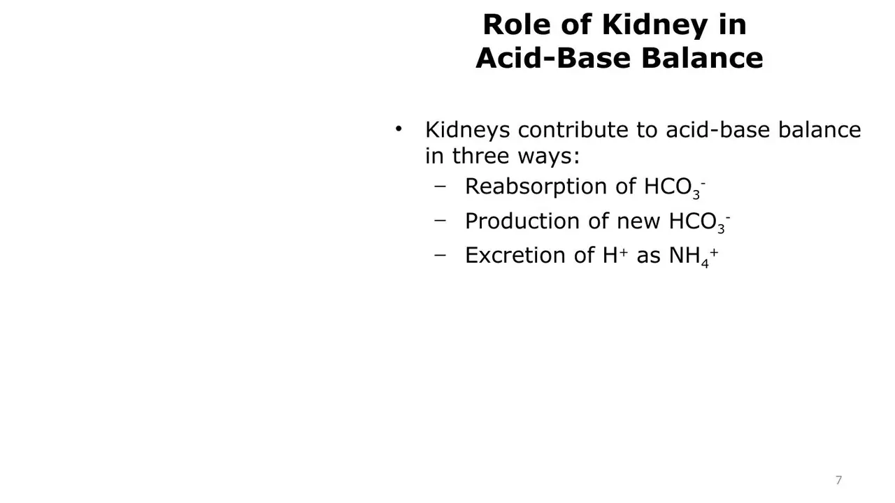 Kidneys: reabsorb HCO3−, produce new HCO3−, excrete H+ as NH4+.