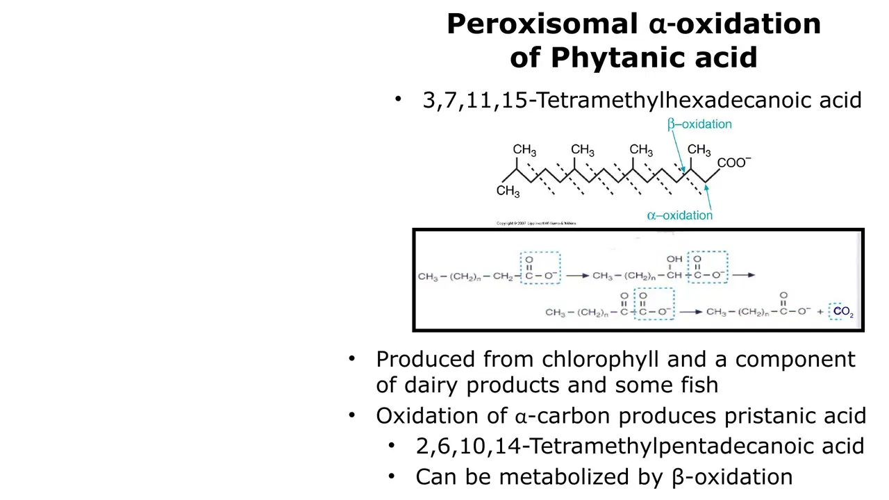 α-Oxidation of phytanic acid (chlorophyll, dairy, fish) gives pristanic acid