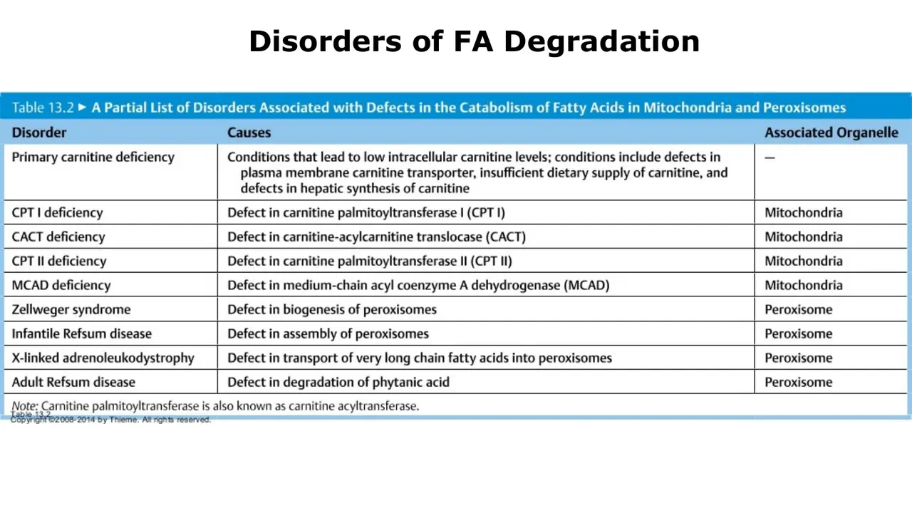 Lecture table: disorders of fatty acid degradation, mitochondrial or peroxisomal