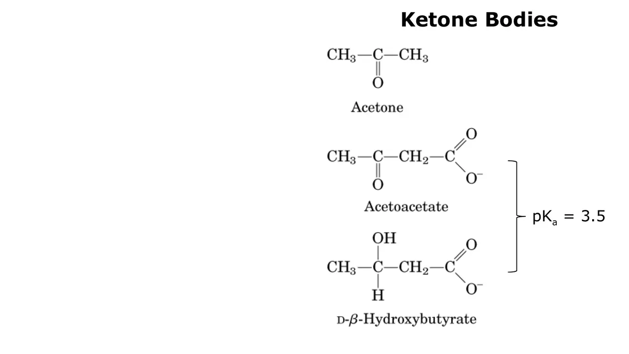 Lecture: the three ketone bodies; acetoacetate and β-hydroxybutyrate have pKa 3.5