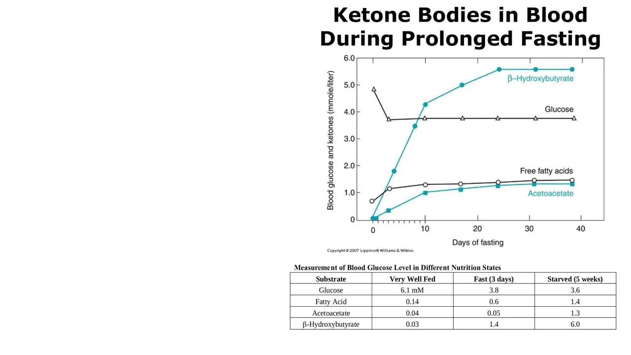 Lecture: blood glucose, fatty acids and ketones over 40 days of fasting, with table