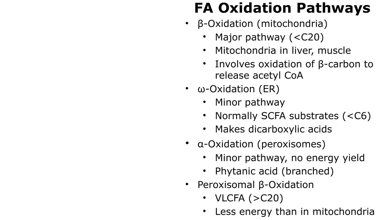Lecture map of oxidation pathways (ω-oxidation '<C6'; textbooks say C10–C12)