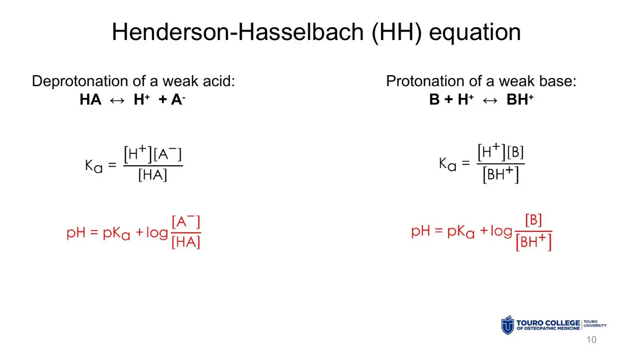 Ka for a weak acid and a weak base, and the HH equation for each.