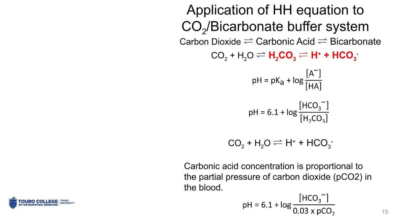 CO2 + H2O ⇌ H2CO3 ⇌ H+ + HCO3−; carbonic acid tracks PCO2.