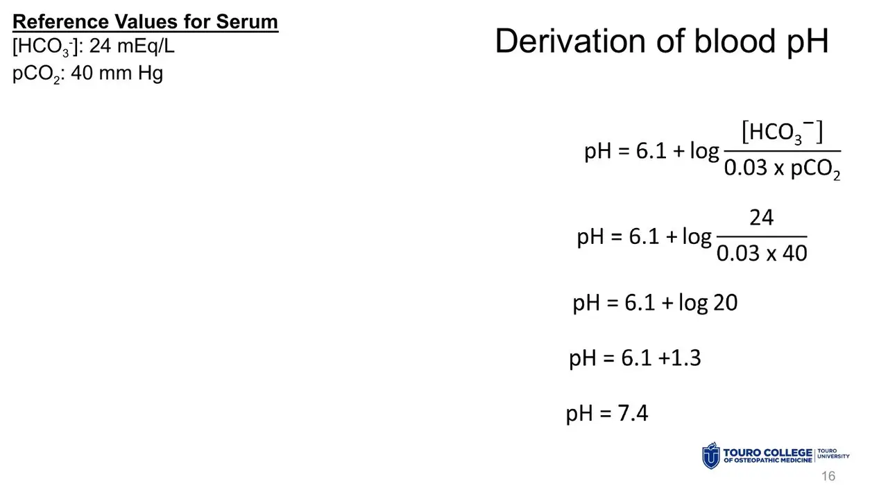 Normal blood: 24 / (0.03 × 40) = 20; log 20 = 1.3; pH 7.4.