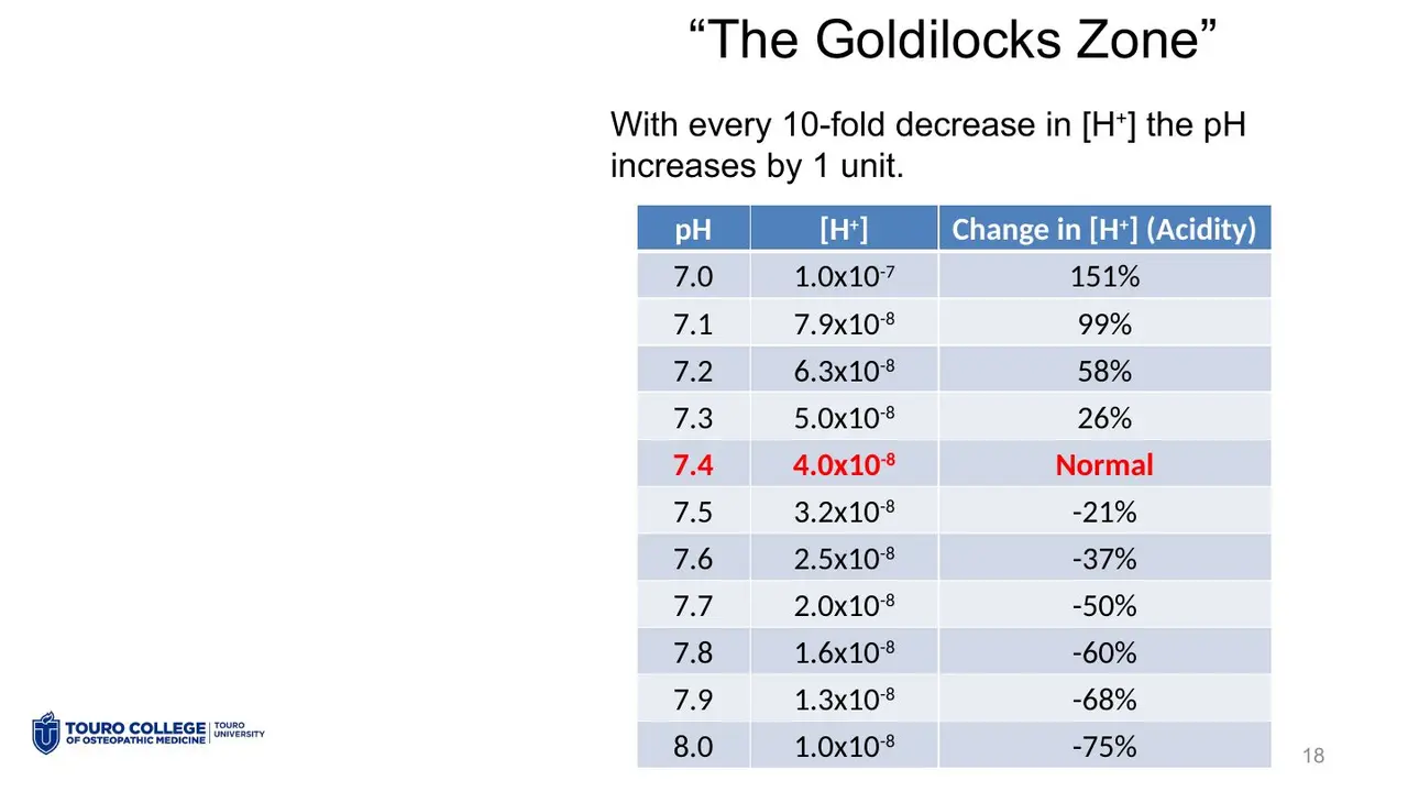 “Goldilocks” table: pH 7.1 carries about twice the [H+] of pH 7.4.