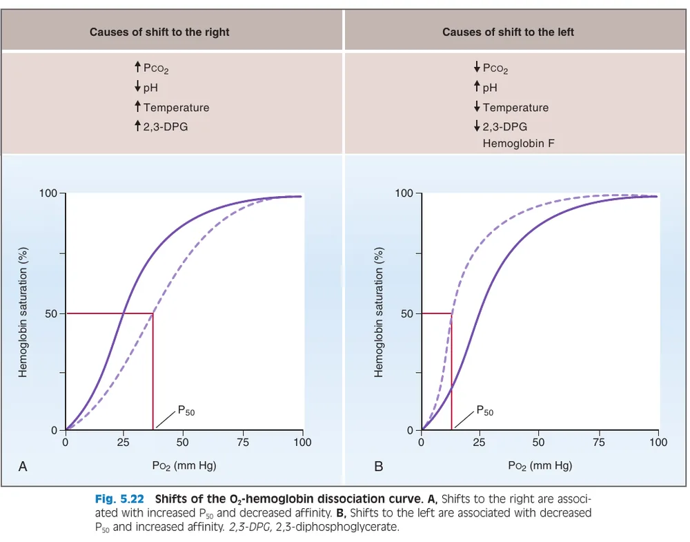 Costanzo, Physiology 6e — fig 5.22