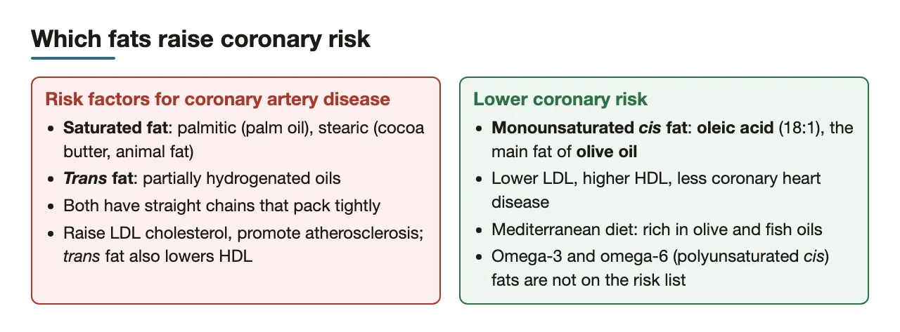 Saturated and trans fats raise coronary risk; oleic acid (olive oil) lowers it.