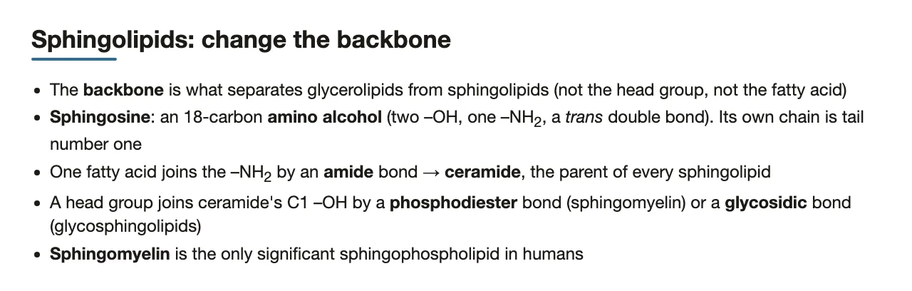 Preface: sphingosine backbone, amide-linked fatty acid, ceramide and head-group links.