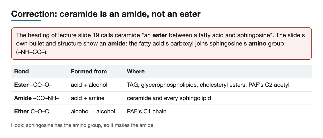 Correction: ceramide's fatty acid is amide-linked; ester, amide and ether bonds compared.