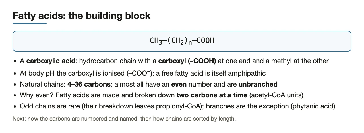 Fatty acid: carboxylic acid on a hydrocarbon chain; 4–36 carbons, even, unbranched.