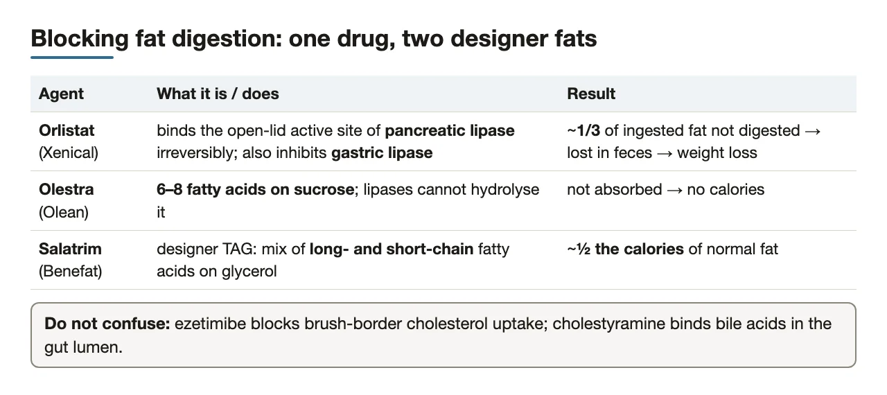Orlistat, olestra and Salatrim compared